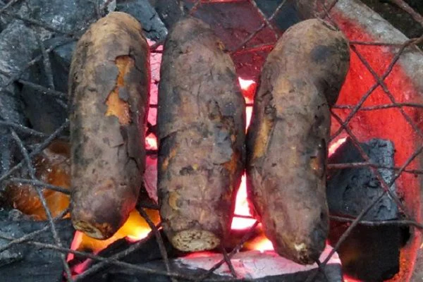 khoai-lang-nuong-(1).jpg khoai-lang-nuong-(1).jpg